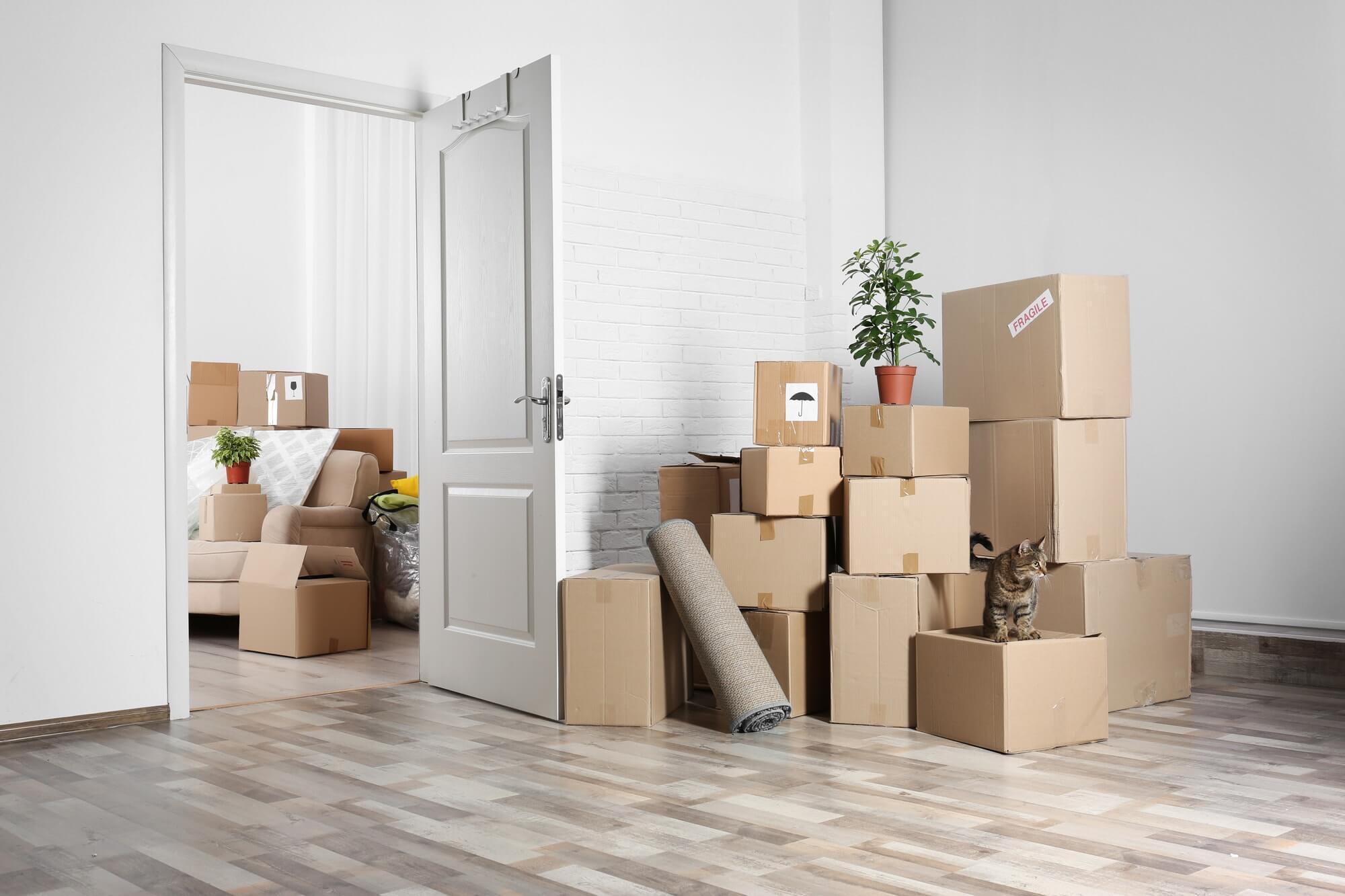 Pro Junk Removal Scottsdale Expands Services to Include Chandler, Scottsdale, and Mesa AZ